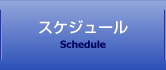 スケジュール