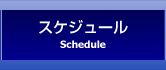 スケジュール