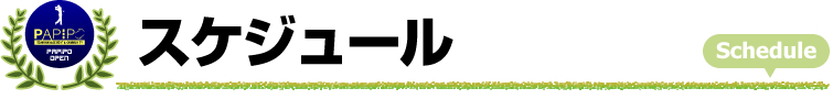 スケジュール