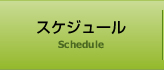 スケジュール